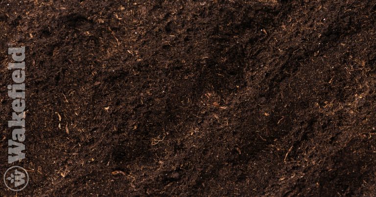 Peaty Soil Conditions