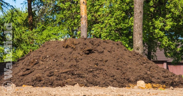 How Much Biochar Should You Add to Soil?