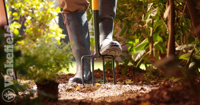 Understanding Soil Health