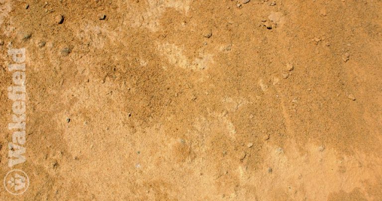 Sandy Soil Conditions