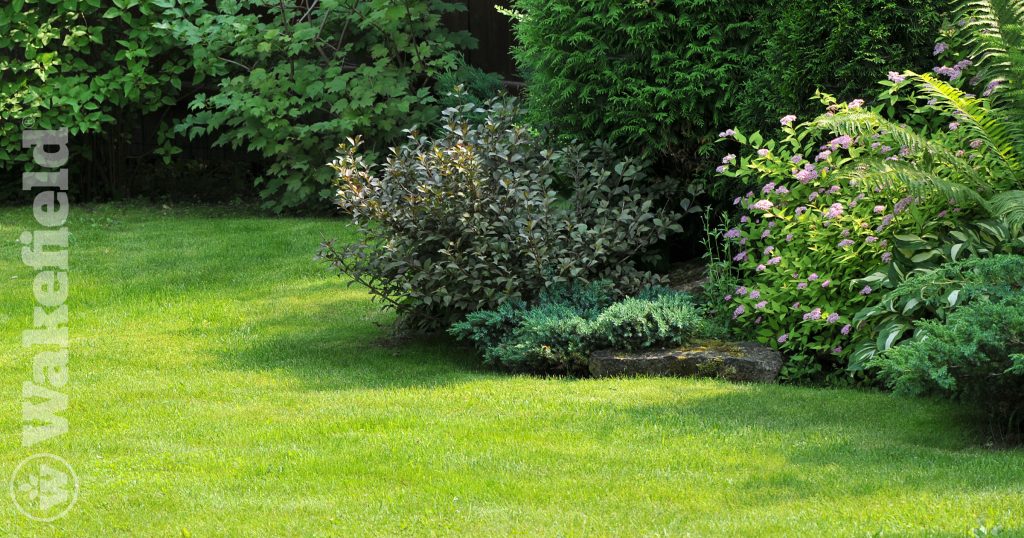 How To Use Biochar For Shrubs