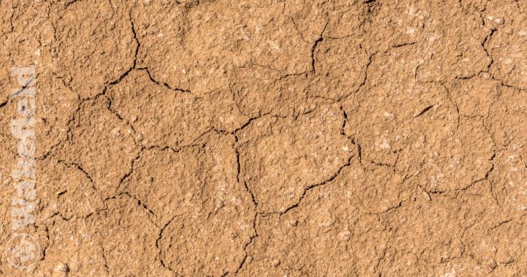 Silty Soil Conditions