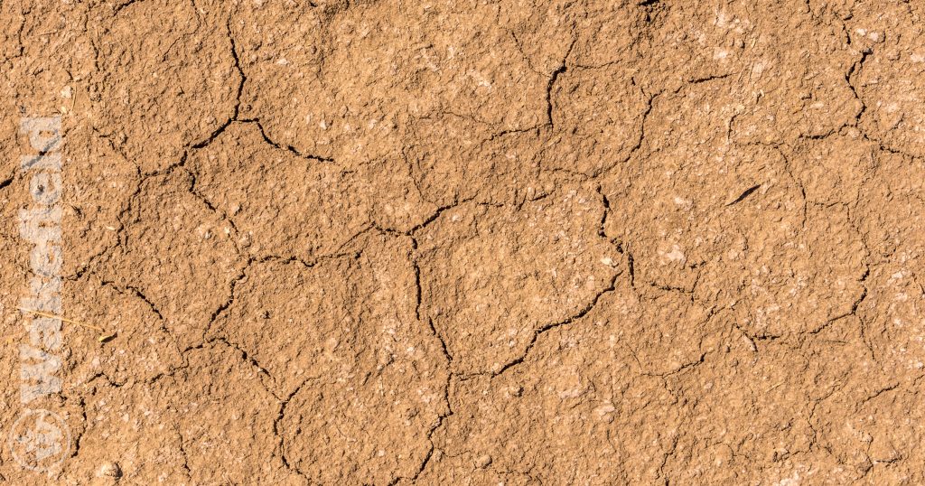 Silty Soil Conditions