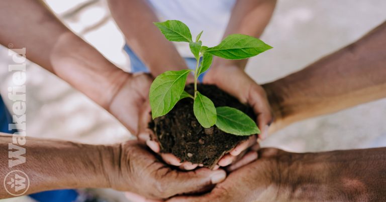 Sustainability