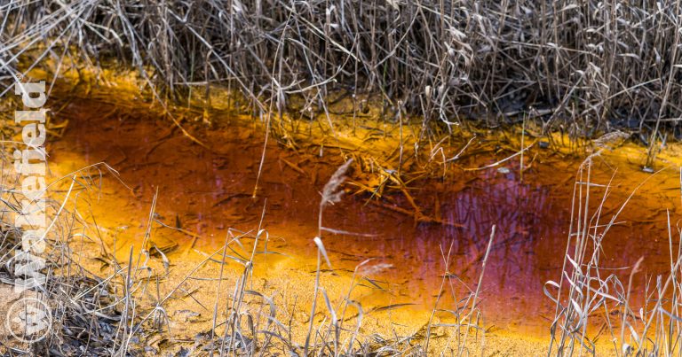 Amendment Of Biochar Reduces The Release Of Toxic Elements Underdynamic Redox Conditions In A Contaminated Floodplain Soil