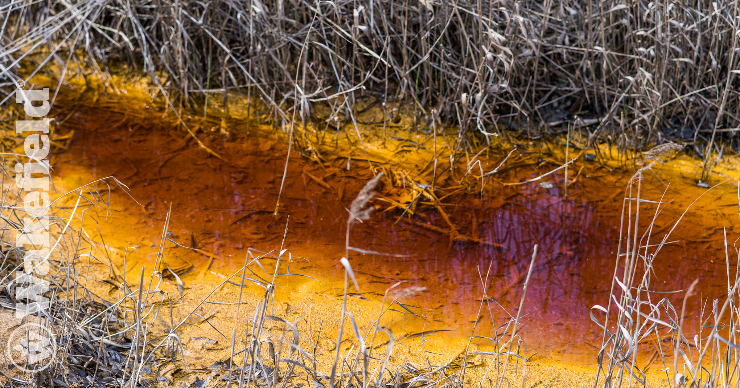 Amendment Of Biochar Reduces The Release Of Toxic Elements Underdynamic Redox Conditions In A Contaminated Floodplain Soil