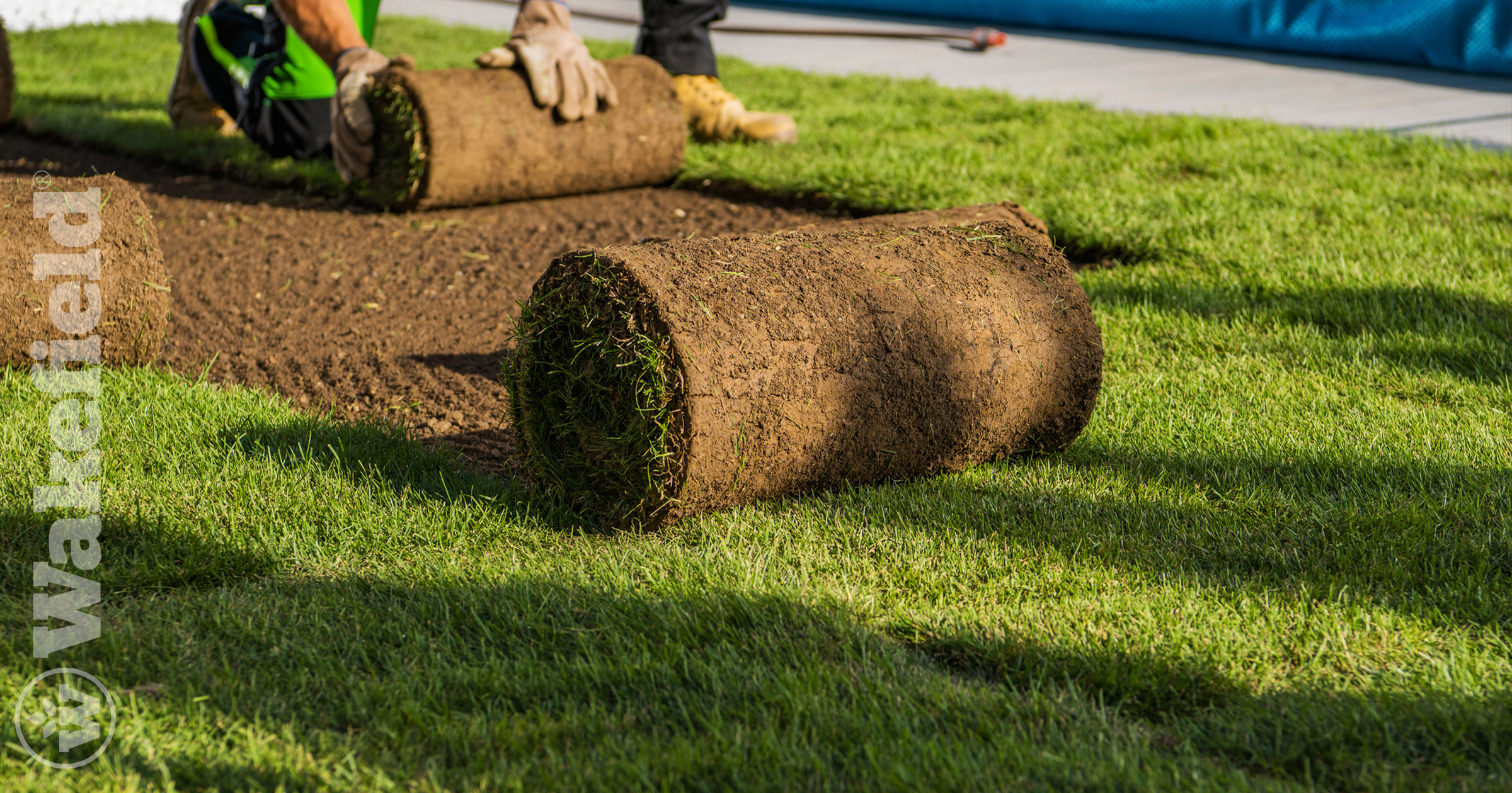 How To Use Biochar For Turf Management