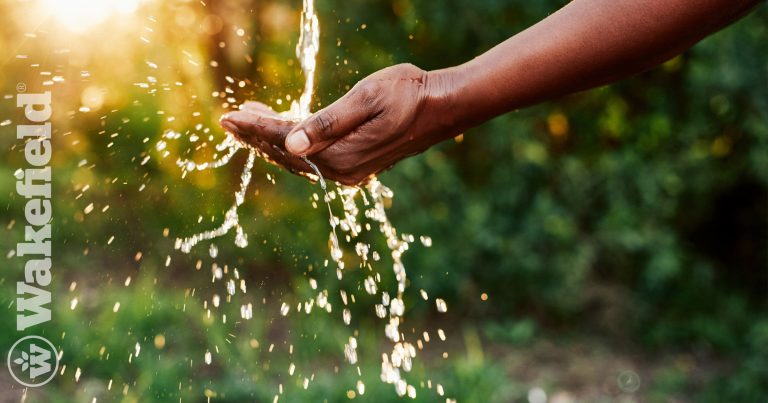 Biochar For Water Conservation