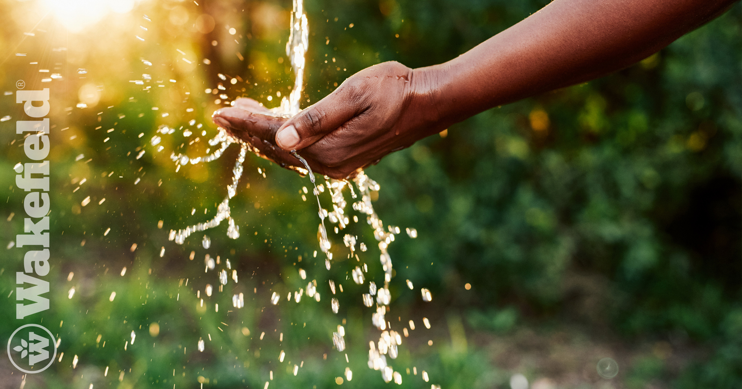 Biochar For Water Conservation