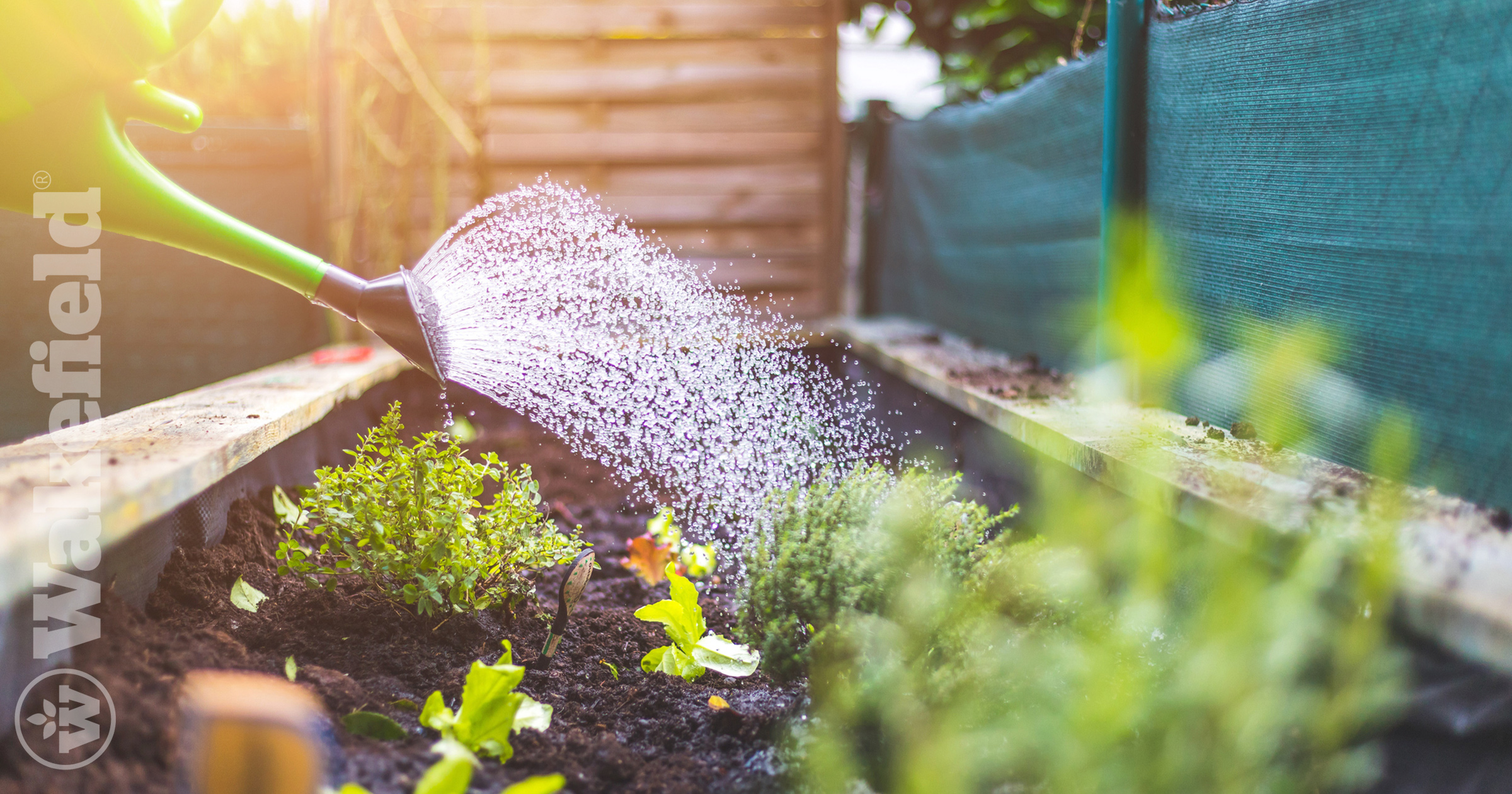 How To Activate Biochar