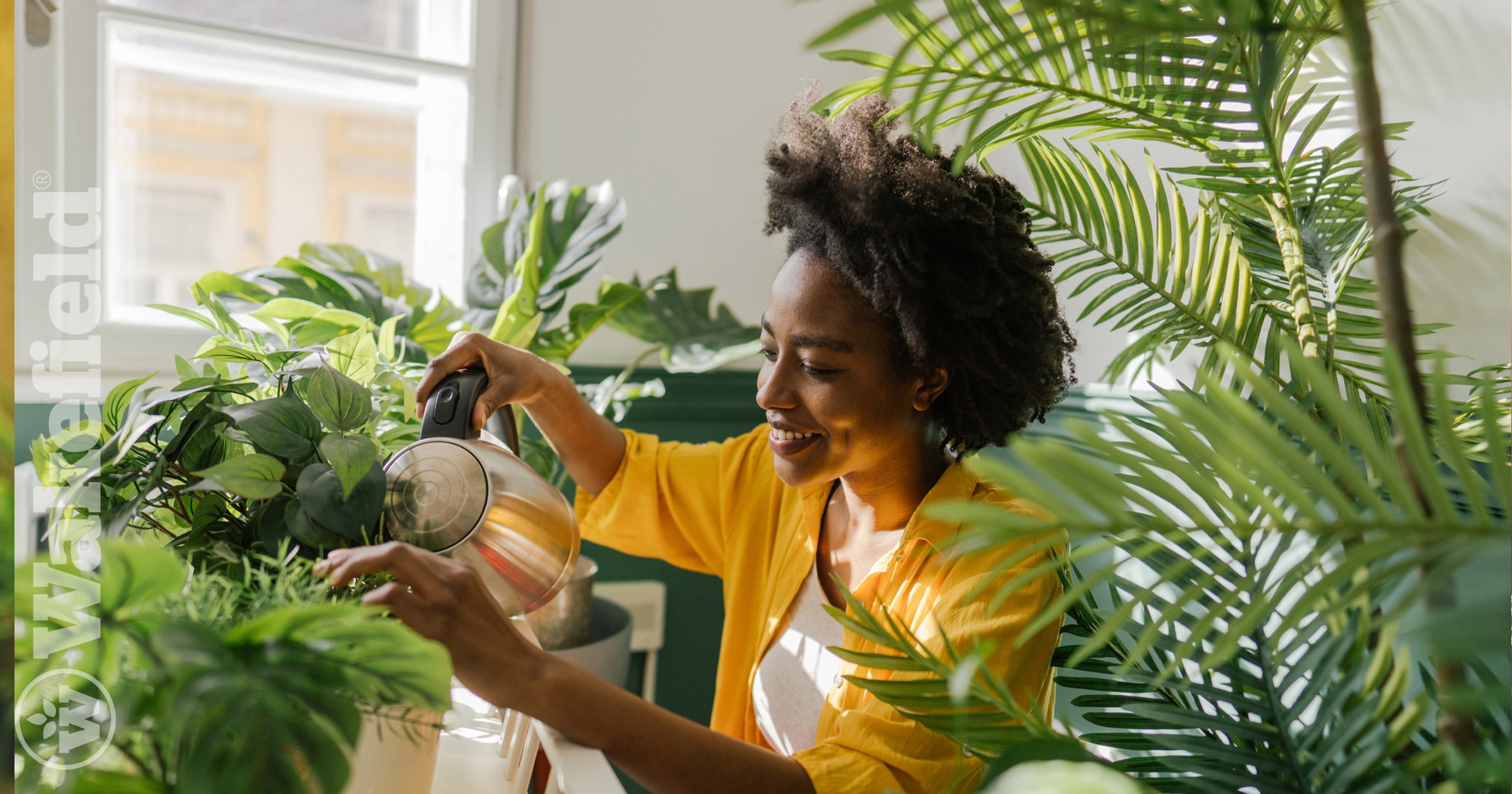 How To Use Biochar With Houseplants