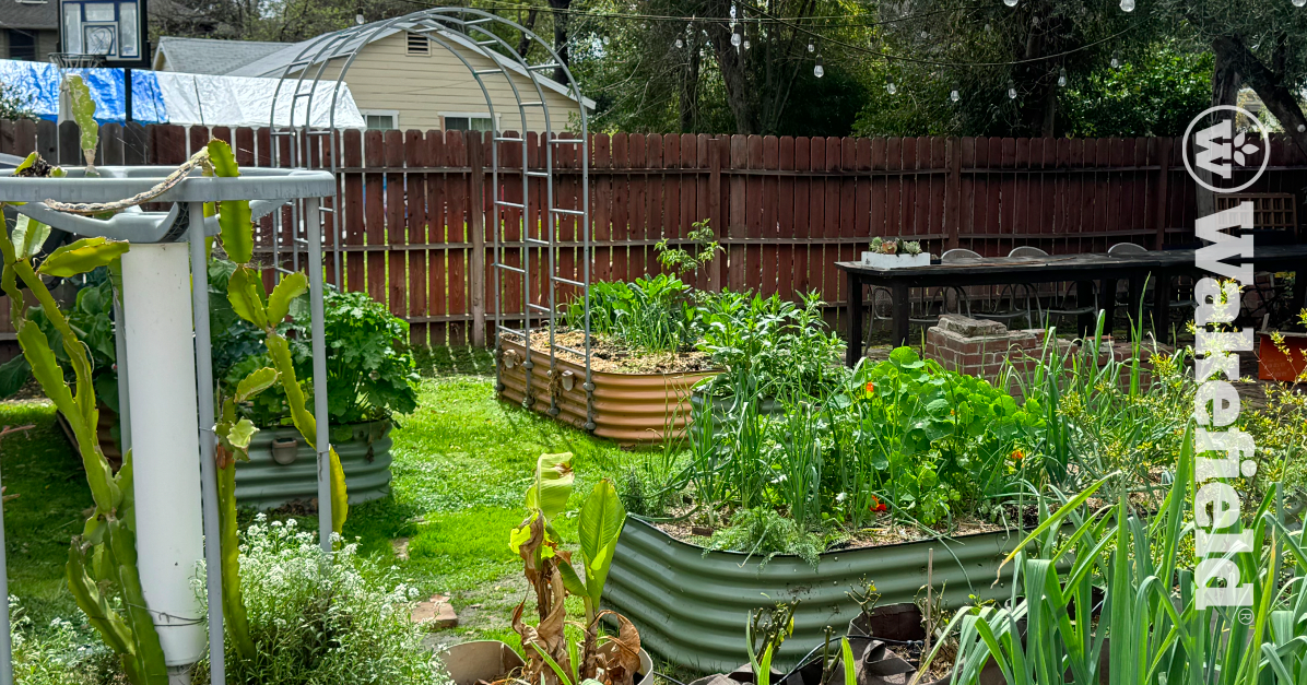 How To Use Biochar for Gardens and Raised Beds